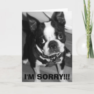 IMG_0932、申し訳ございません！! カード