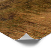 IMG_1081_1 ポスター (角)