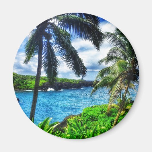 IMG_1122 4ハワイアンシーンブラックサンドビーチ マグネット (正面)