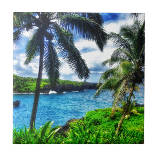 IMG_1122 4ハワイアン場面 タイル