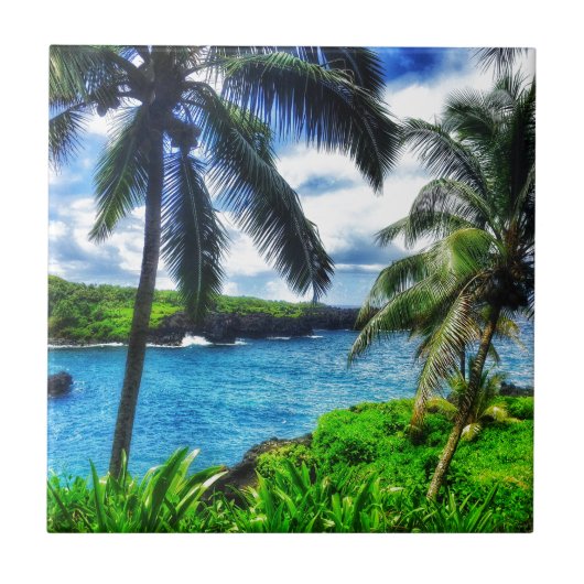 IMG_1122 4ハワイアン場面 タイル (正面)