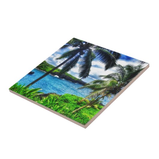 IMG_1122 4ハワイアン場面 タイル (側面)