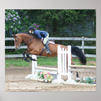 Img-1160ポスター ポスター