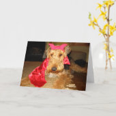 IMG_1191 カード (黄色い花)