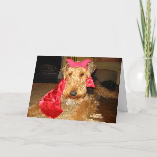 IMG_1191 カード (正面)