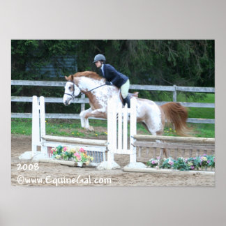 Img-1193ポスター ポスター