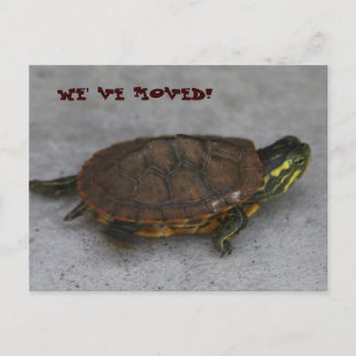 IMG_1195、動いた！ 案内ポストカード