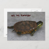 IMG_1195、動いた！ 案内ポストカード (正面/裏面)