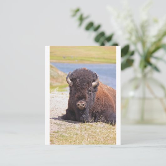 IMG_1227_1 ポストカード (スタンド正面)