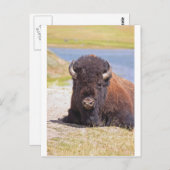 IMG_1227_1 ポストカード (正面/裏面)