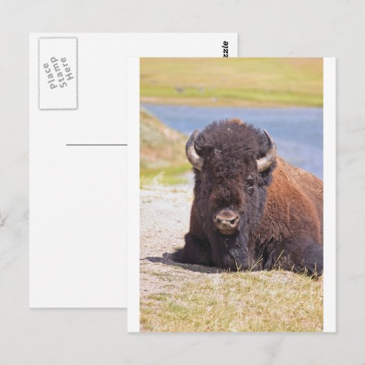 IMG_1227_1 ポストカード (正面/裏面)