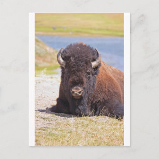 IMG_1227_1 ポストカード