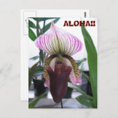 IMG_1248，アロハ!!ポストカード ポストカード (正面/裏面)