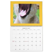 IMG_1311、2008カレンダー カレンダー (3月 2027)