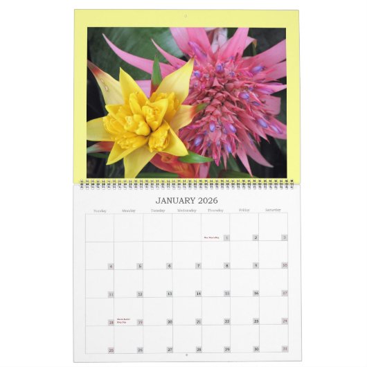 IMG_1311、2008カレンダー カレンダー (1月 2026)