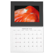 IMG_1311、2008カレンダー カレンダー (2月 2026)