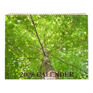 IMG_1311、2008カレンダー カレンダー