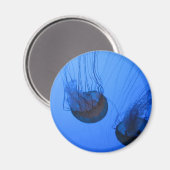 IMG_1319 マグネット (正面/裏面)