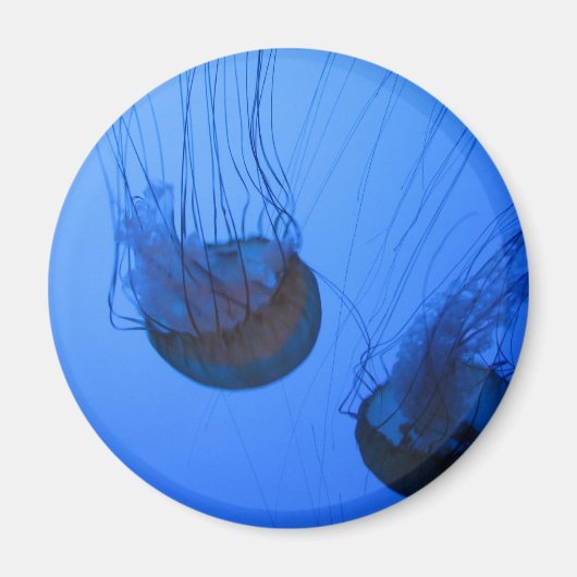 IMG_1319 マグネット (正面)