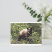 IMG_1319_1 ポストカード (スタンド正面)