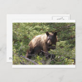 IMG_1319_1 ポストカード (正面/裏面)