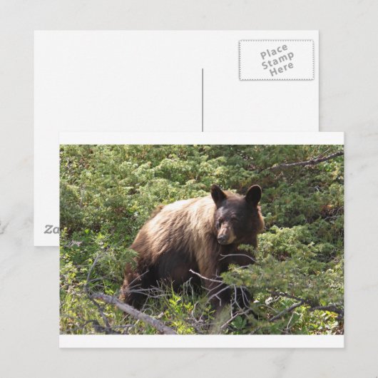 IMG_1319_1 ポストカード (正面/裏面)