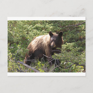 IMG_1319_1 ポストカード