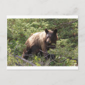 IMG_1319_1 ポストカード (正面)