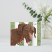 IMG_1331、犬だ恋しく思! ポストカード (スタンド正面)