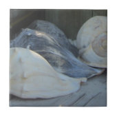 IMG_1498 (3).jpg タイル (正面)