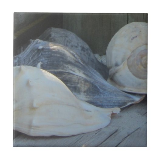 IMG_1498 (3).jpg タイル (正面)