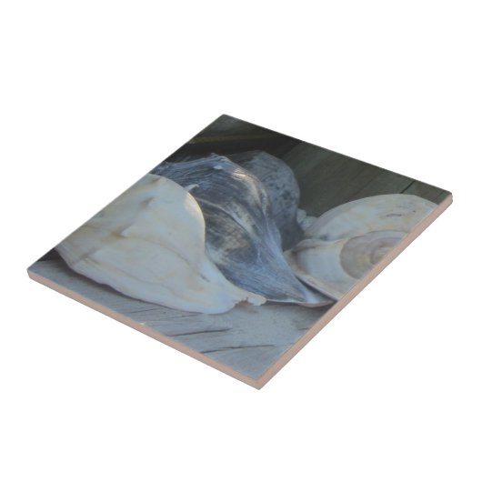 IMG_1498 (3).jpg タイル (側面)