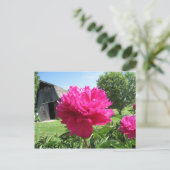 IMG_1506 ポストカード (スタンド正面)