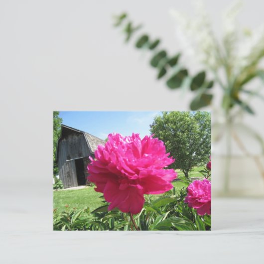 IMG_1506 ポストカード (スタンド正面)