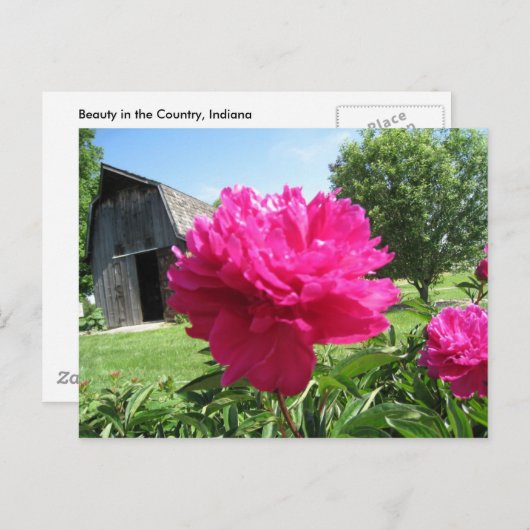 IMG_1506 ポストカード (正面/裏面)