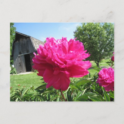 IMG_1506 ポストカード (正面)