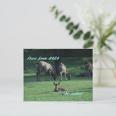 IMG_1652 NARA ポストカード (スタンド正面)