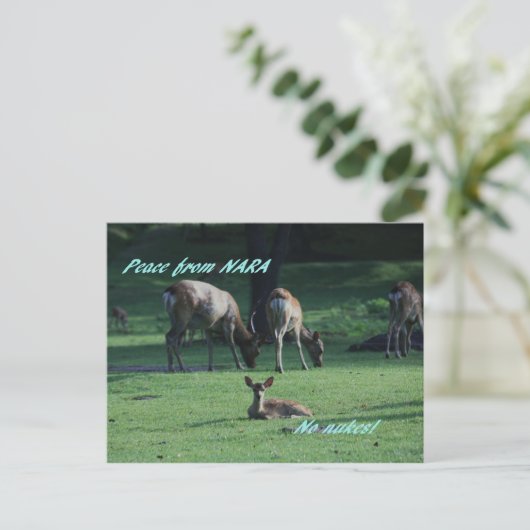 IMG_1652 NARA ポストカード (スタンド正面)