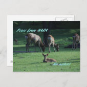 IMG_1652 NARA ポストカード (正面/裏面)