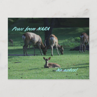 IMG_1652 NARA ポストカード