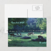 IMG_1664 NARA ポストカード (正面/裏面)