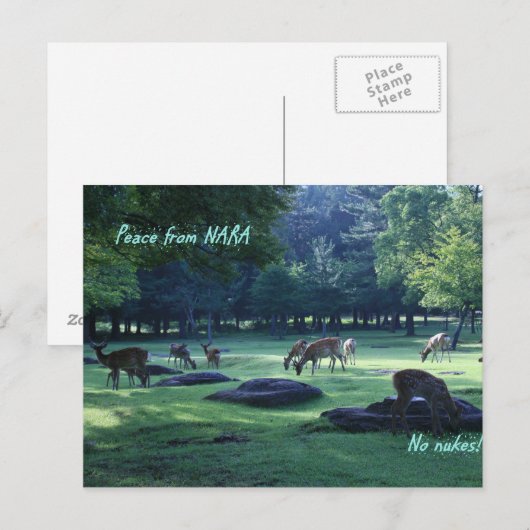 IMG_1664 NARA ポストカード (正面/裏面)