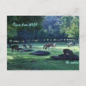 IMG_1664 NARA ポストカード (正面)