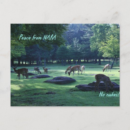 IMG_1664 NARA ポストカード (正面)