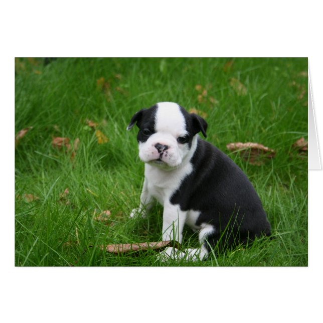 IMG_1665 (正面横)