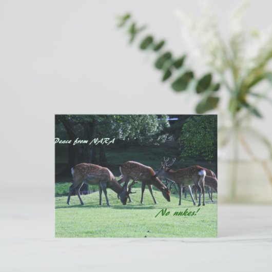 IMG_1699奈良 ポストカード (スタンド正面)