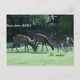 IMG_1699奈良 ポストカード