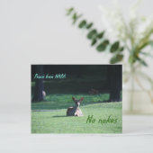 IMG_1713奈良 ポストカード (スタンド正面)