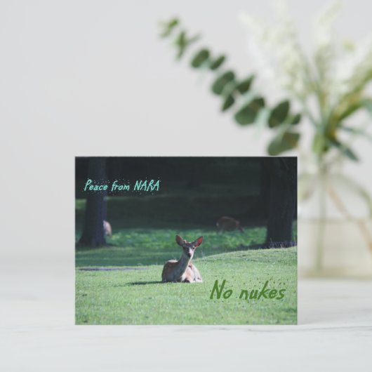 IMG_1713奈良 ポストカード (スタンド正面)