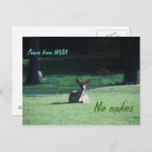 IMG_1713奈良 ポストカード (正面/裏面)